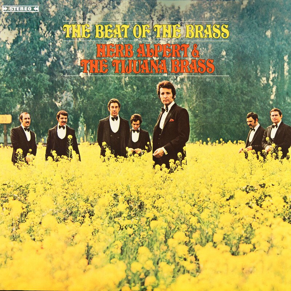 Herb Alpert & the Tijuana Brass